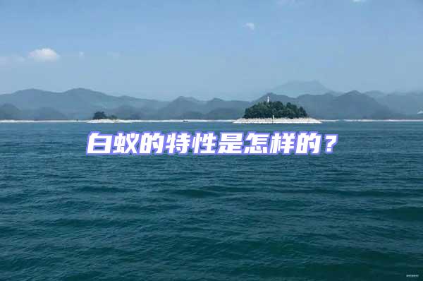 白蟻的特性是怎樣的?