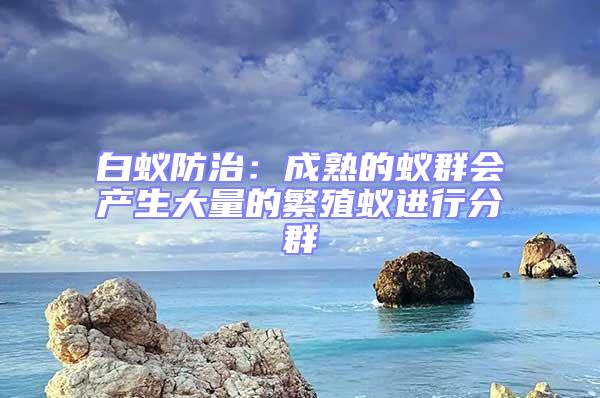 白蟻防治:成熟的蟻群會產生大量的繁殖蟻進行分群