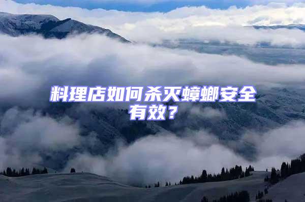 料理店如何殺滅蟑螂安全有效?