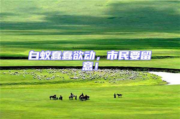 白蟻蠢蠢欲動(dòng),市民要留意!