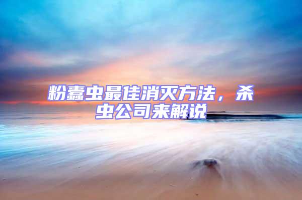 粉蠹蟲最佳消滅方法,殺蟲公司來解說