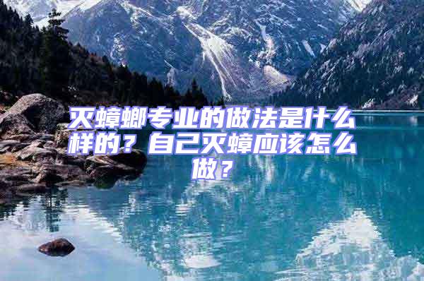滅蟑螂專業的做法是什么樣的?自己滅蟑應該怎么做?