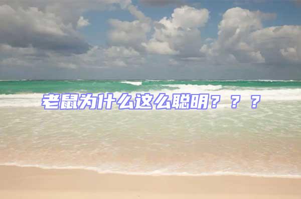 老鼠為什么這么聰明???