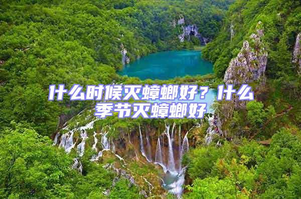 什么時候滅蟑螂好?什么季節滅蟑螂好