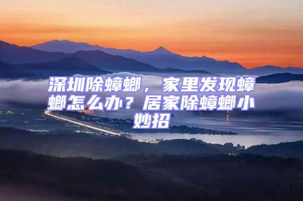 深圳除蟑螂,家里發(fā)現(xiàn)蟑螂怎么辦?居家除蟑螂小妙招