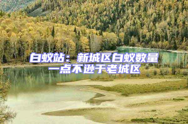 白蟻站:新城區(qū)白蟻數(shù)量一點不遜于老城區(qū)