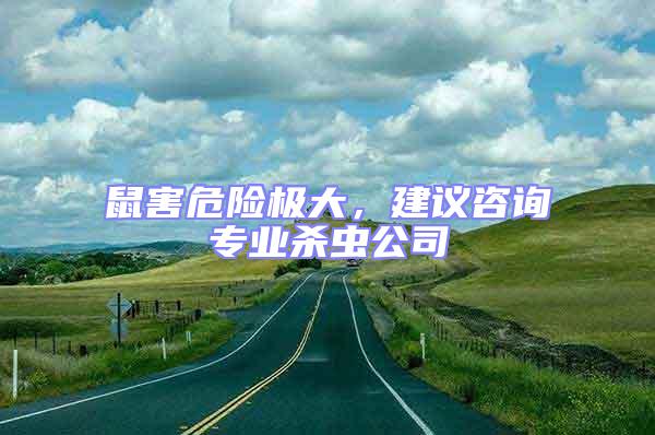 鼠害危險(xiǎn)極大,建議咨詢專業(yè)殺蟲公司