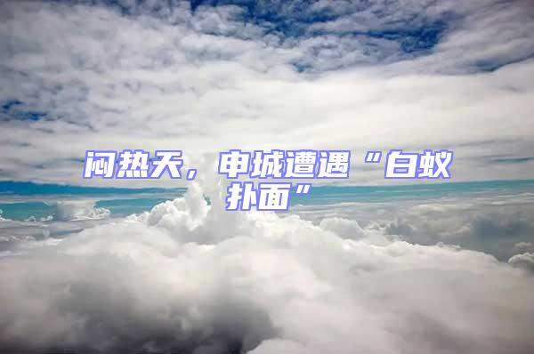悶熱天,申城遭遇“白蟻撲面”