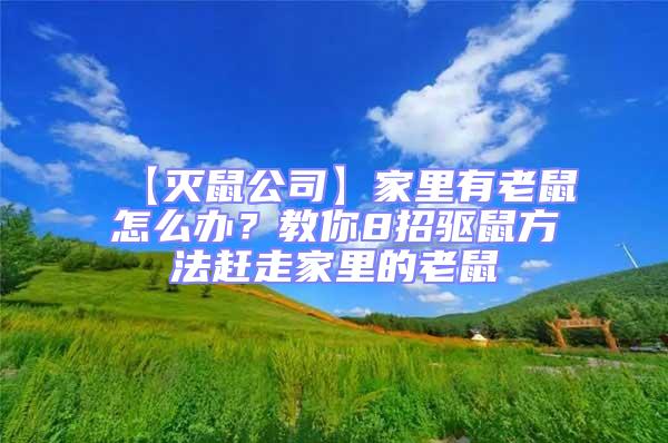 【滅鼠公司】家里有老鼠怎么辦?教你8招驅(qū)鼠方法趕走家里的老鼠