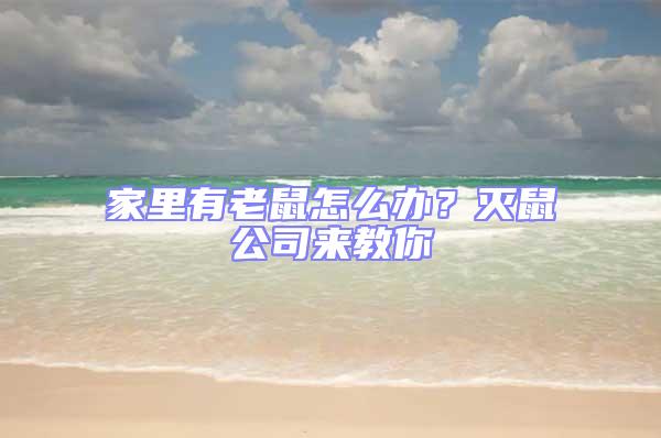 家里有老鼠怎么辦?滅鼠公司來教你