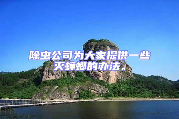 除蟲公司為大家提供一些滅蟑螂的辦法。