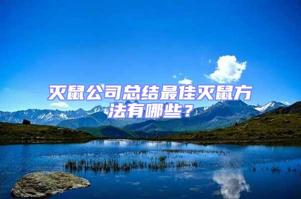 滅鼠公司總結最佳滅鼠方法有哪些?