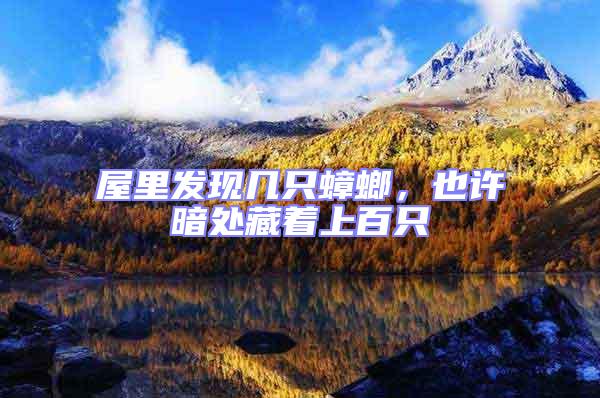 屋里發(fā)現(xiàn)幾只蟑螂,也許暗處藏著上百只