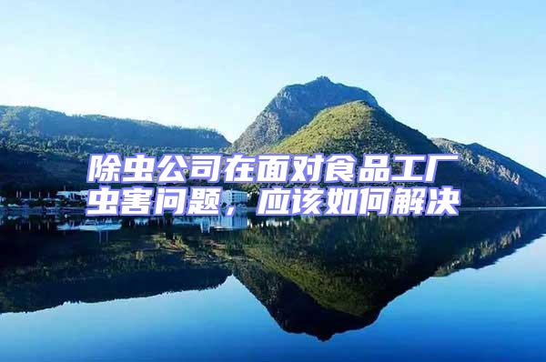 除蟲公司在面對食品工廠蟲害問題,應(yīng)該如何解決
