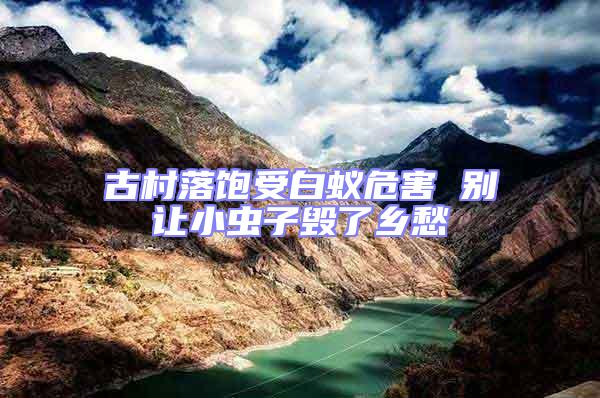 古村落飽受白蟻危害 別讓小蟲子毀了鄉(xiāng)愁