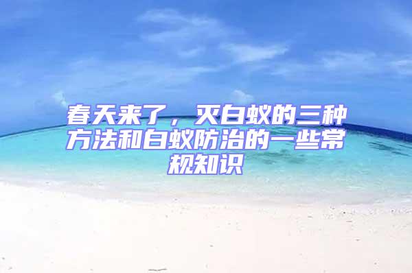 春天來了，滅白蟻的三種方法和白蟻防治的一些常規知識