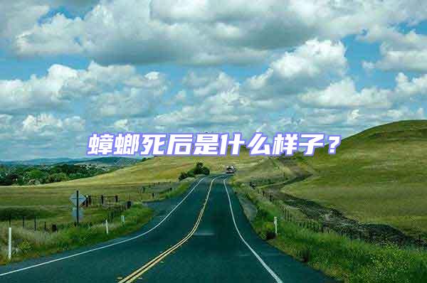 蟑螂死后是什么樣子?