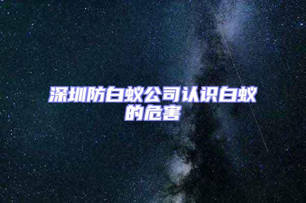 深圳防白蟻公司認(rèn)識白蟻的危害