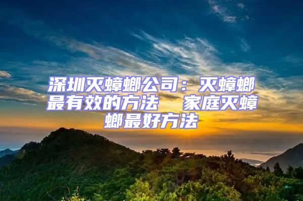 深圳滅蟑螂公司:滅蟑螂最有效的方法  家庭滅蟑螂最好方法