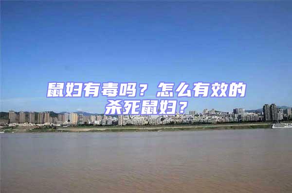 鼠婦有毒嗎?怎么有效的殺死鼠婦?