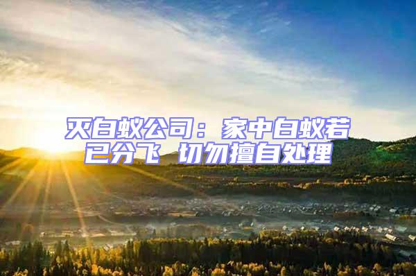 滅白蟻公司:家中白蟻若已分飛 切勿擅自處理