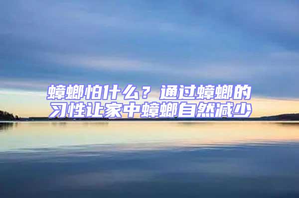 蟑螂怕什么?通過蟑螂的習性讓家中蟑螂自然減少