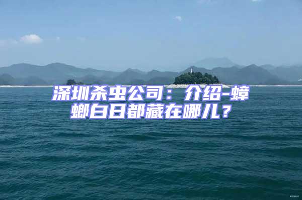 深圳殺蟲公司：介紹-蟑螂白日都藏在哪兒？