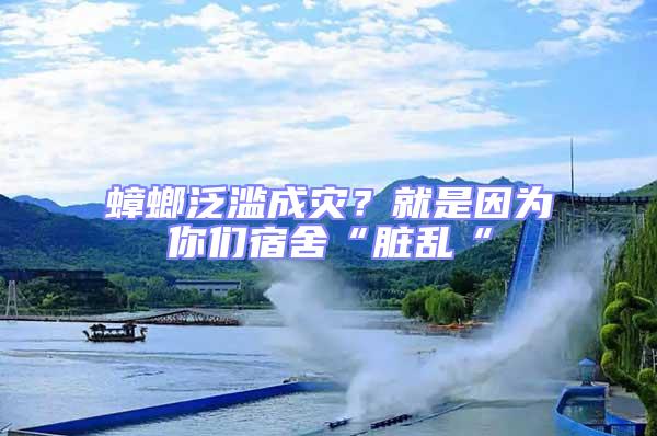 蟑螂泛濫成災?就是因為你們宿舍“臟亂“