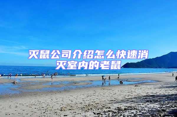 滅鼠公司介紹怎么快速消滅室內(nèi)的老鼠