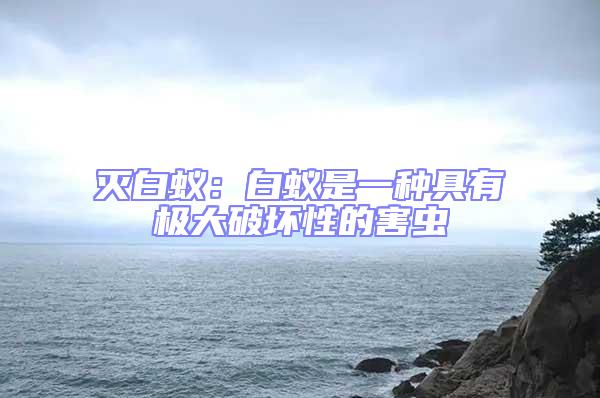 滅白蟻:白蟻是一種具有極大破壞性的害蟲