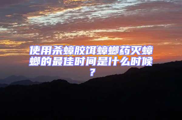 使用殺蟑膠餌蟑螂藥滅蟑螂的最佳時間是什么時候?