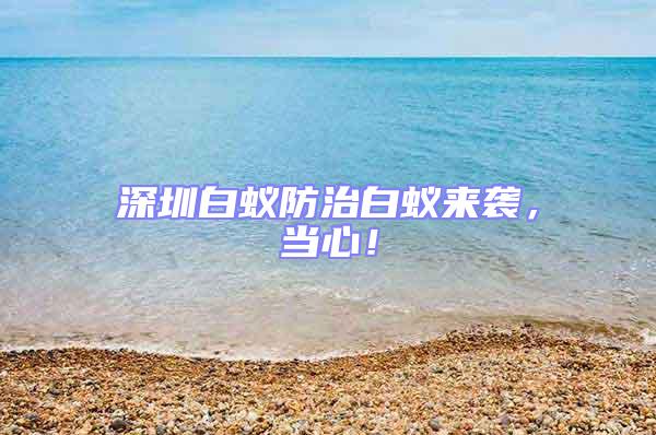 深圳白蟻防治白蟻來襲,當心!