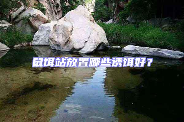 鼠餌站放置哪些誘餌好?