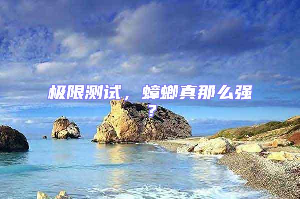 極限測試,蟑螂真那么強?
