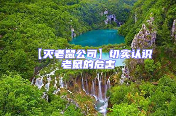 【滅老鼠公司】切實認(rèn)識老鼠的危害