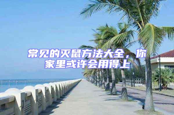 常見(jiàn)的滅鼠方法大全,你家里或許會(huì)用得上