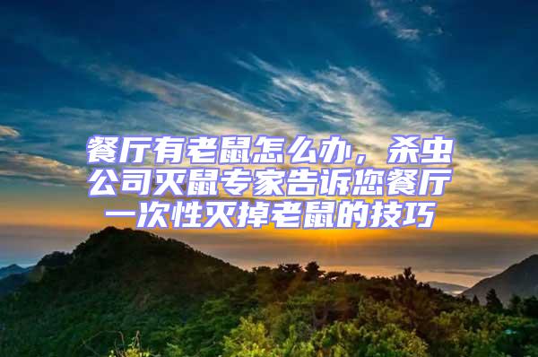餐廳有老鼠怎么辦,殺蟲公司滅鼠專家告訴您餐廳一次性滅掉老鼠的技巧