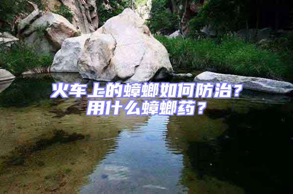 火車上的蟑螂如何防治?用什么蟑螂藥?