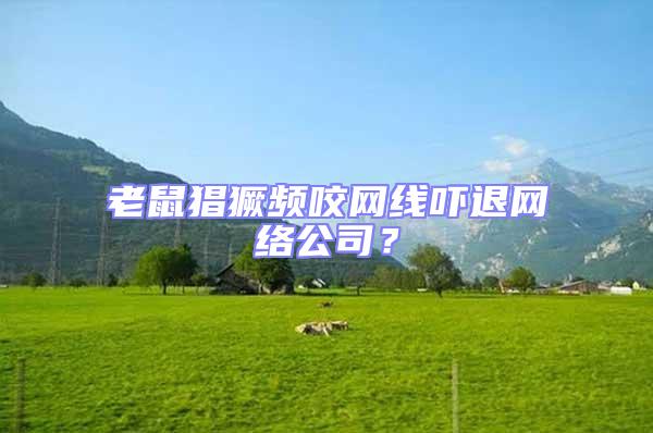 老鼠猖獗頻咬網(wǎng)線嚇退網(wǎng)絡(luò)公司?