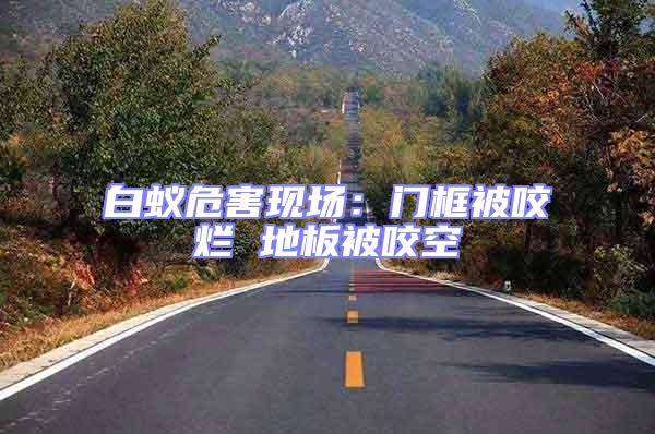 白蟻危害現(xiàn)場(chǎng):門框被咬爛 地板被咬空
