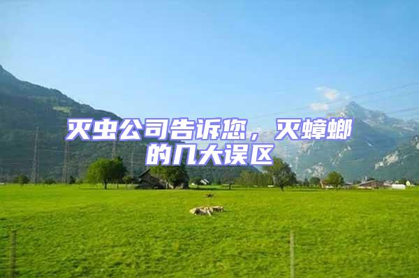 滅蟲公司告訴您,滅蟑螂的幾大誤區