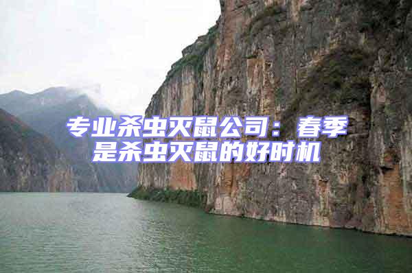 專業殺蟲滅鼠公司:春季是殺蟲滅鼠的好時機