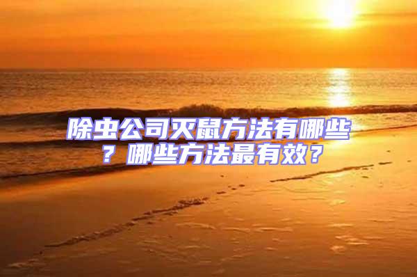 除蟲公司滅鼠方法有哪些?哪些方法最有效?