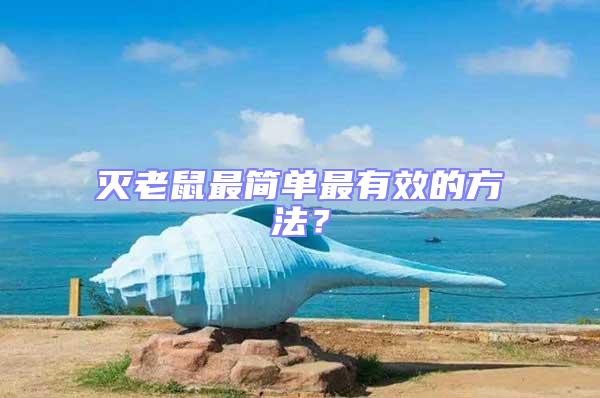 滅老鼠最簡單最有效的方法?