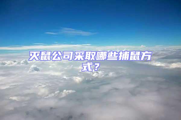 滅鼠公司采取哪些捕鼠方式?