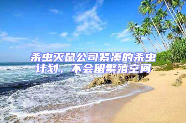 殺蟲滅鼠公司緊湊的殺蟲計劃,不會留繁殖空間