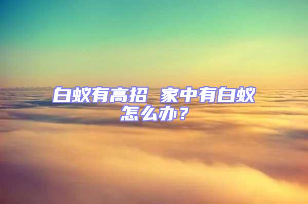 白蟻有高招 家中有白蟻怎么辦?