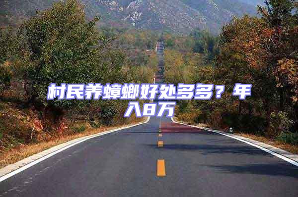 村民養(yǎng)蟑螂好處多多?年入8萬