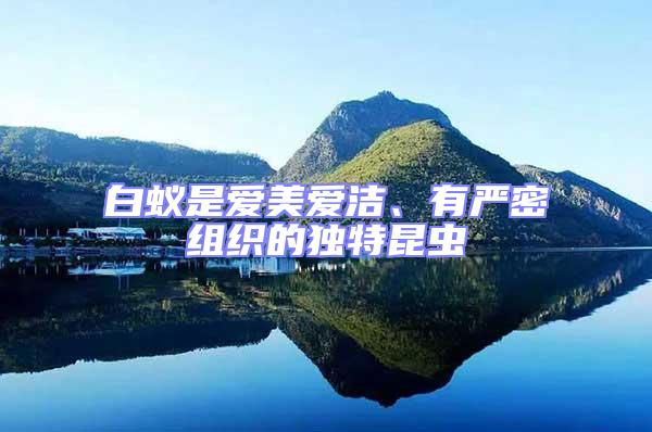白蟻是愛(ài)美愛(ài)潔、有嚴(yán)密組織的獨(dú)特昆蟲(chóng)
