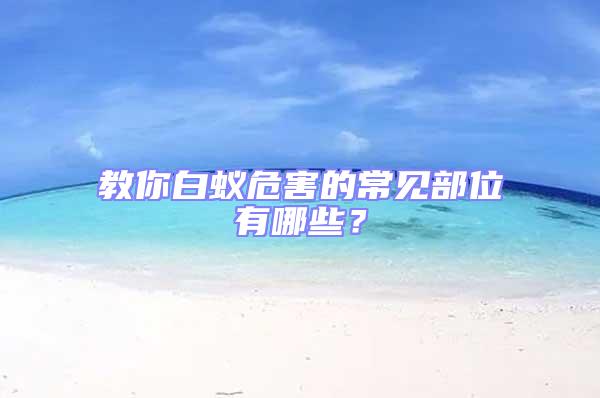 教你白蟻危害的常見部位有哪些?